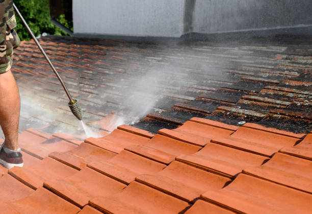 Best Residential Pressure Washing Services  in Goodyear, AZ